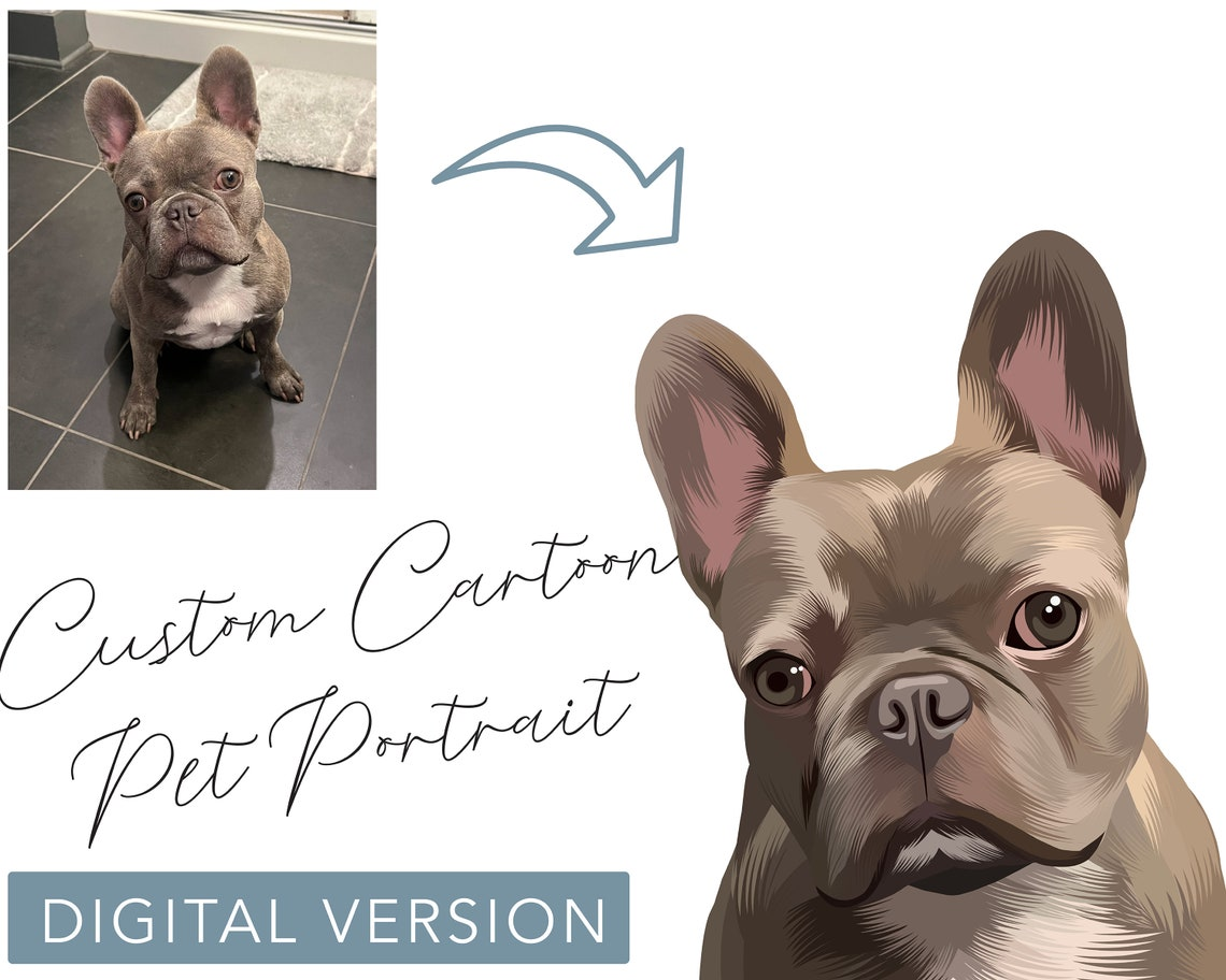 Custom Hand-Drawn Cartoon Pet Portrait